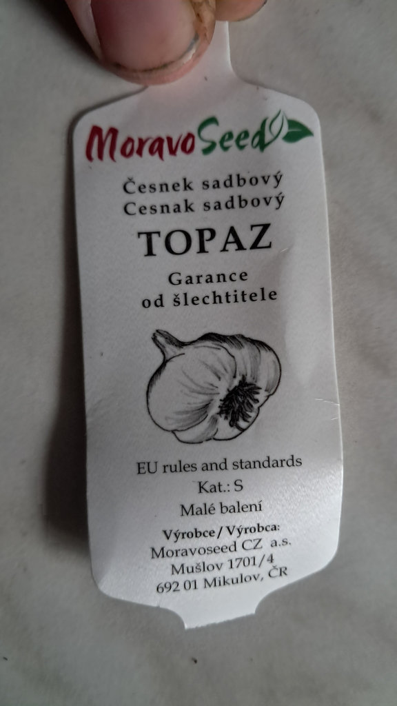 Cesnak cervik